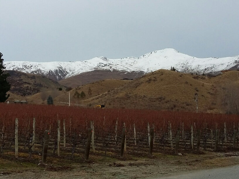 Central Otago - Mid Winter Day Two