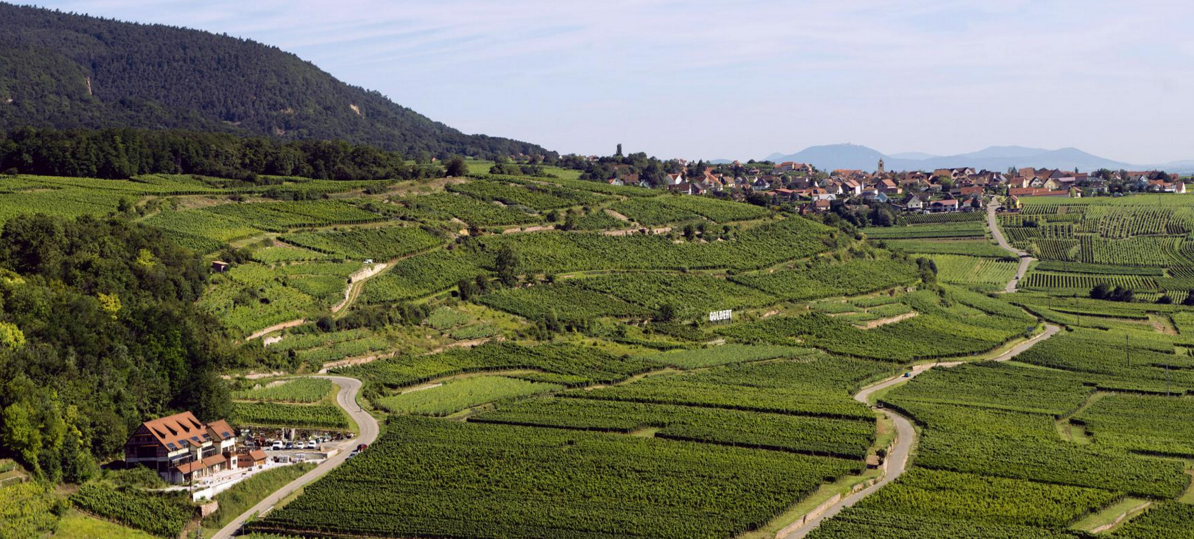 Dopff & Irion Grand Cru Goldert Gewurztraminer