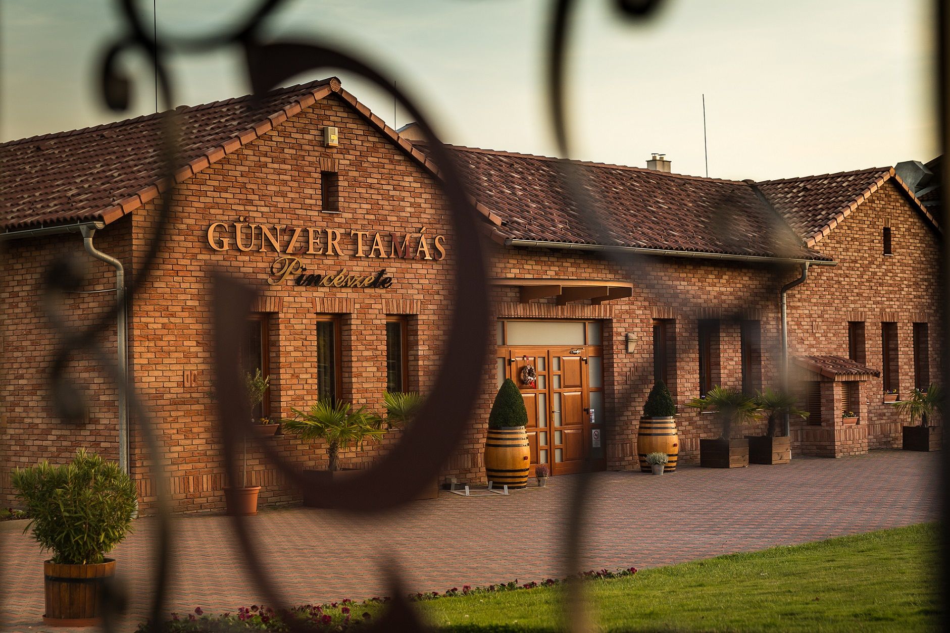 Gunzer Tamas Bocor Cabernet Franc