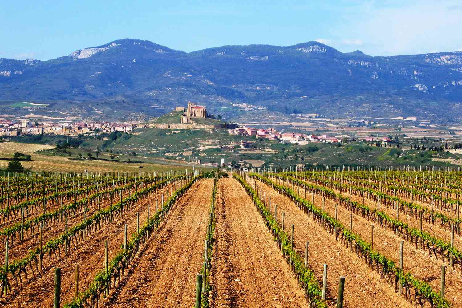 Montebuena Rioja Blanco