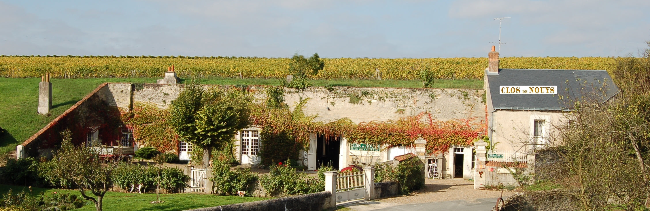 Clos de Nouy Vouvray - Jewel of the Loire