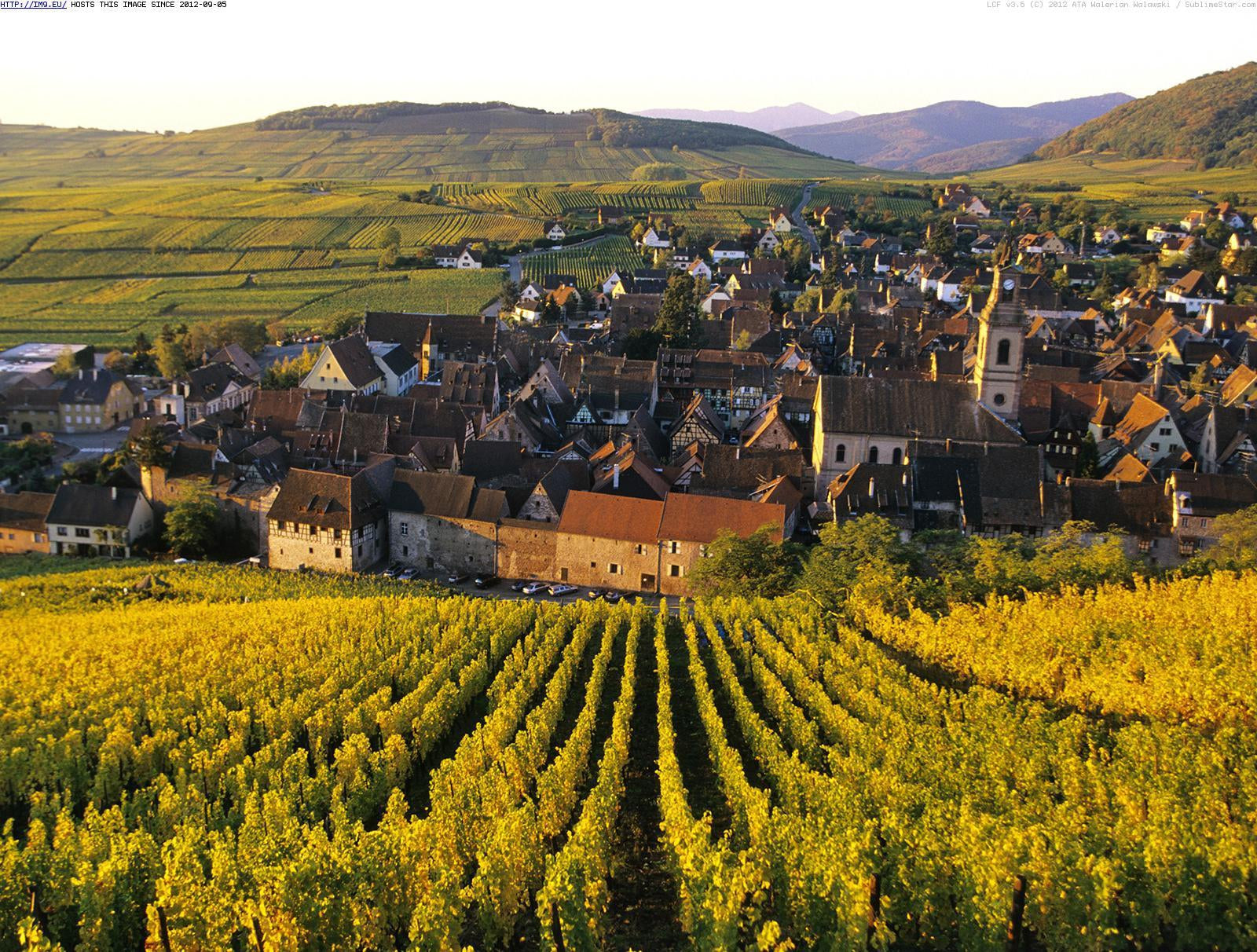 Alsace-Wineseeker