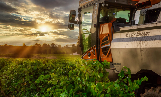 Estandon Provence Rosé on Sale