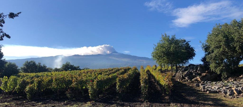 Al-Cantara - wines of Etna on Sicily