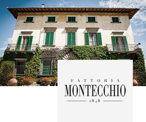 Wines of Tuscany: Fattoria Montecchio